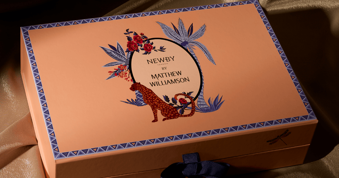 Introducing the Latest Newby By Matthew Williamson Collection