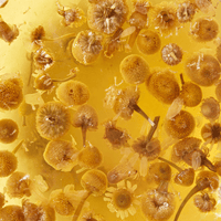 Chamomile Loose Leaf Pouch 125g